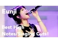 Lagu Jung Eunji (Apink)- Best High Notes/Singing Cuts!