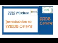 SSISDB-Catalog Introduction Lecture-4