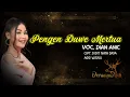 Download Lagu PENGEN DUWE MERTUA (Video Lirik) DIAN ANIC || TARLING 2023