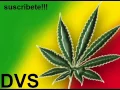 El preso esta por cultivar marihuana