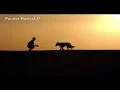 Chris Stapleton - Maggie's Song (Tradução PT-br)