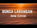 Download Lagu Bunga Larangan - Apak (cover) Lirik video