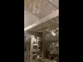 LIVE Egg Sorting 2026-08-17