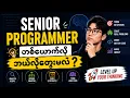 Senior Programmer