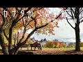 【男性パートのみ】カナダからの手紙（平尾昌晃＆畑中葉子） 「男性パートを覚える」、「男性パートと合わせて歌う」にご利用ください　カラオケcover