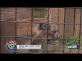KSN Summer Road Trip on KSN News at 6 July 21 2022
