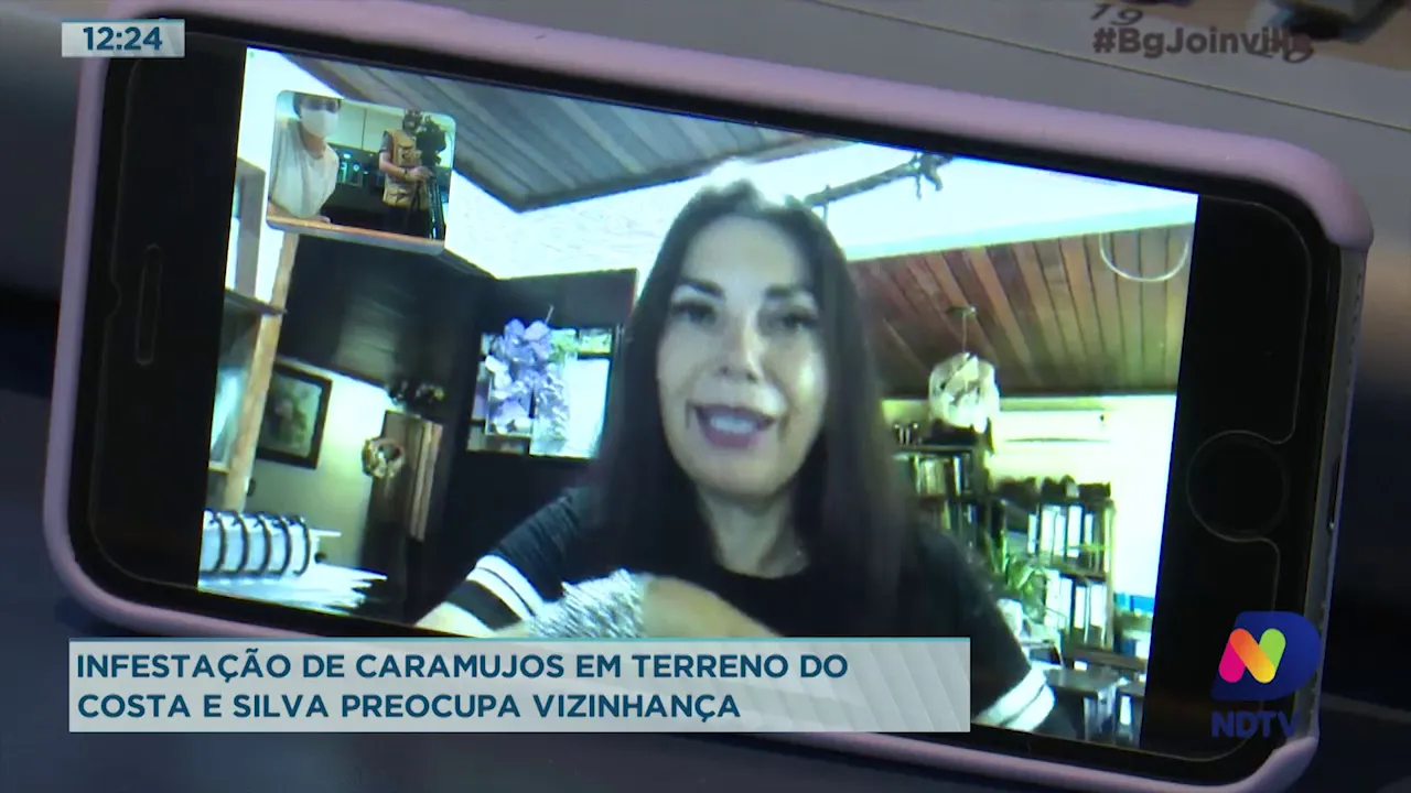 Infestação de caramujos em terreno do Costa e Silva preocupa vizinhança