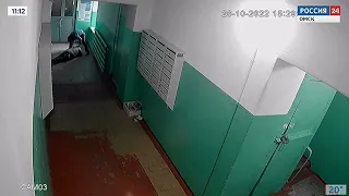 В омском следкоме завершили расследование дела о нападении на пенсионерку в подъезде