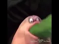 My asshole it tight