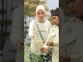 Download Lagu Sang Edelweiss, bunga yang melambangkan cinta sejati dan keabadian