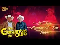 Download Lagu Os Gargantas De Ouro - Já Tem Alguém no Seu Lugar (DVD 20 Anos Ao Vivo)
