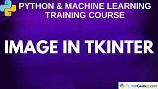How to Display Images in Python Tkinter GUI