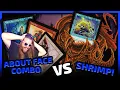 5 Color About Face Vs Mono Blue STIFLENOUGHT!!! - Round 2 - [November 2025 PREMODERN TOURNAMENT]
