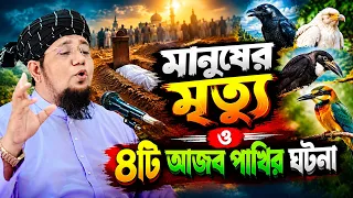 মানুষের মৃত্যু ও ৪-টি আজব পাখির ঘটনা ! মুফতি মোঃ হাবিবুল্লাহ মুজাহিদি ☎️ 01811189103