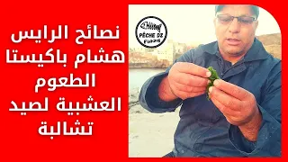 نصائح الرايس هشام باكيستا بخصوص الطعوم العشبية لصيد سمكة تشالبة أو الحلامة دندنها