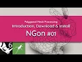 NGon Introduction Introduction and Installation