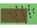 Dynamic Formations Box Selection