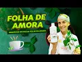 Benefícios do chá da folha de amora