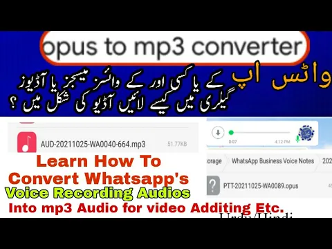 Download MP3 How to convert a whatsapp audio file into mp3 file/Opus to mp3 convertor/Opus to mp3#OpusTomp3Change