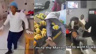 south africans vs alcohol funniest drunk people fails