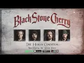 Black Stone Cherry - The Devil In Your Eyes (The Human Condition)