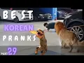 Download Lagu Best Korean Pranks U can't stop laughing 😂