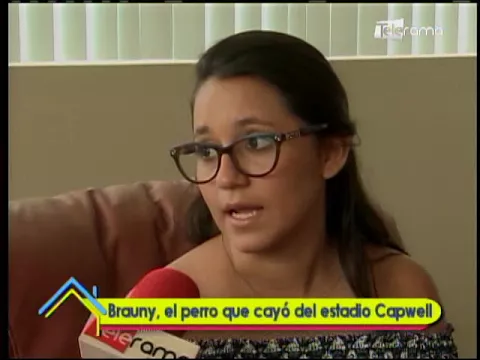 ¿Existen leyes que protejan a las mascotas en Ecuador?