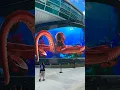 Download Lagu Sea creatures attack at the Port of #Nassau #Bahamas ! PART 4 #octopus