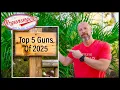 The Top 5 Guns Of 2025