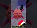 Download Lagu WARDEN vs ELDER GUARDIAN Minecraft 1.19 Snapshot