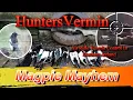 Download Lagu Berburu dengan Senapan Angin Magpie Mayhem