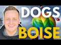 Is Idaho a good place for your dog Why Boise is the BEST Dog City
