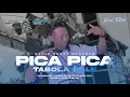 Lagu DJ PICA PICA X TABOLA BALE | JINGGLE PEJET GANK FT SOUND HOREG OFFICIAL | JHONES BOYS ID RMX