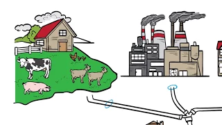 What is backflow