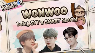 Download SVT Wonwoo being a smart sloth 🦥 | Part 1 MP3