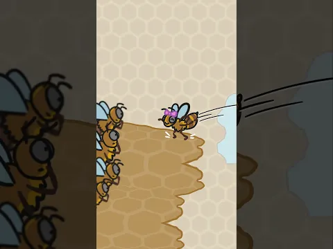Why do bees dance?