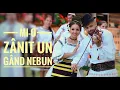 Download Lagu Silvia Timis si Serban Horj - Mi-o zânit un gând nebun 4K