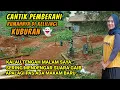 Download Lagu CANTIK PEMBERANI YANG RUMAHNYA DI KELILINGI KUBURAN,SAYA SERING MENDENGAR SUARA GAIB TENGAH MALAM.