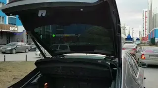                                                                       دندنها