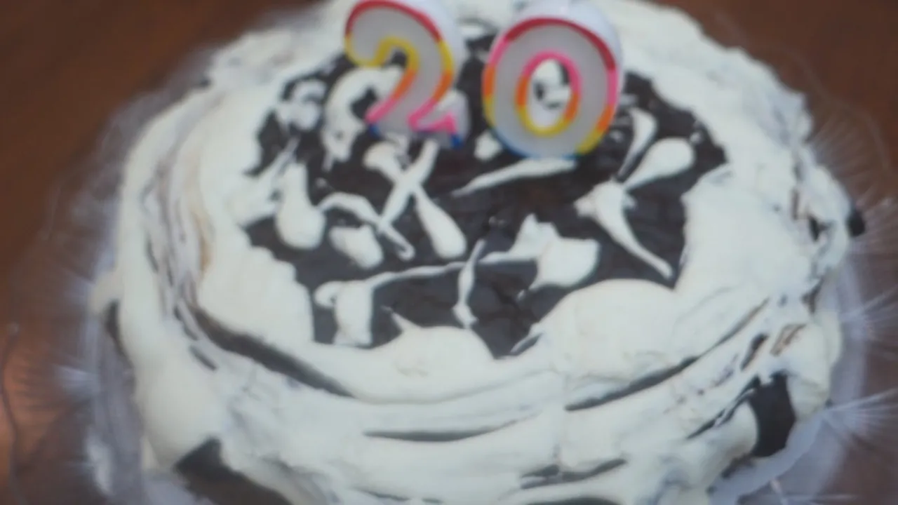 Birthday Vlog