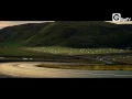 FRITZ KALKBRENNER - Back Home (Official Video)