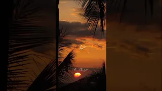 وفي ليله سرحت في اللي راح حمزه نمره بدون موسيقي حالات واتس حزينه Reel فولو بدون موسيقى تصميمي 