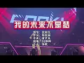 张雨生《我的未来不是梦》DJ棒棒 Electro Rmx KTV 导唱字幕 （备有伴奏视频）