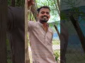 Download Lagu baila ke ghanghar #song