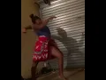 Download Lagu Baphela abantu, Izembe 🎵 | Queen Qhawekazi | Phoenix | Izintombi nto | Zulu Traditional Dance