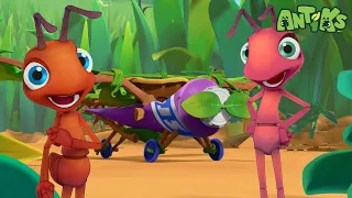 Ants Ready To Depart NEW EPISODE Funny Cartoons Funny Videos For Kids ANTIKS 