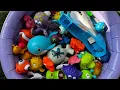 Ocean Animals for Kids | Learn Sea Creature Names \u0026 Fun Facts with Marine Animal Toys