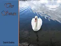 Saint Säens THE SWAN Piano Tutorial SLOW