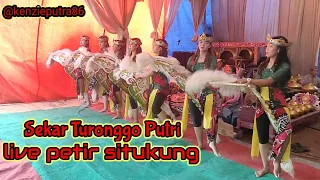 Download Sekar Turonggo Putri (STP) jaranan dangdut kreasi live petir situkung MP3