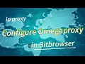 BitBrowser uses proxy tutorial - Lumiproxy web proxy